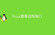 linux查看进程端口