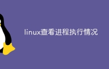 linux查看进程执行情况