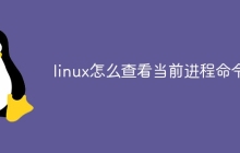 linux怎么查看当前进程命令
