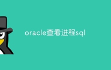 oracle查看进程sql