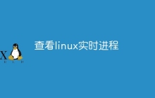 查看linux实时进程
