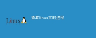 查看linux实时进程