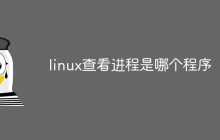 linux查看进程是哪个程序
