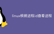 linux根据进程id查看进程