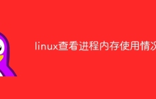 linux查看进程内存使用情况