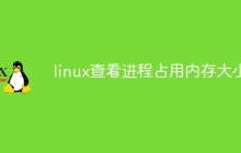 linux查看进程占用内存大小
