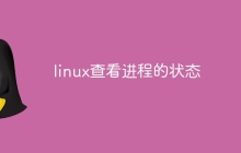 linux查看进程的状态