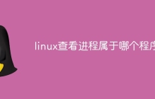 linux查看进程属于哪个程序