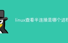 linux查看半连接是哪个进程