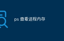 ps 查看进程内存