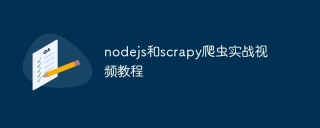 nodejs和scrapy爬虫实战视频教程