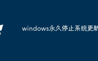 Windows permanently stops system update