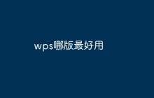 wps哪版最好用
