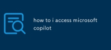 how to i access microsoft copilot