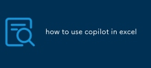 wie man copilot in Excel verwendet