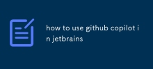wie man Github copilot in Jetbrains verwendet