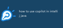 wie man copilot in Intellij Java verwendet
