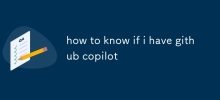 Woher weiß ich, ob ich Github habe copilot