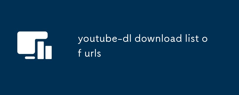 YouTube-DL-Download-Liste der URLs