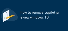 So entfernen Sie die Vorschau von Windows 10