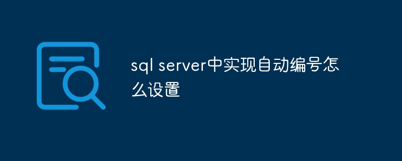 sql server中实现自动编号如何设置