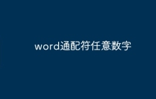 word通配符任意数字