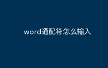 word通配符怎么输入