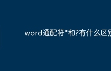 word通配符*和?有什么区别
