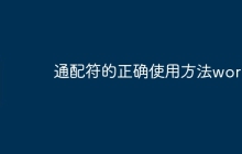 通配符的正确使用方法word