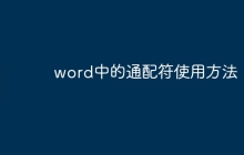 word中的通配符使用方法