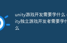 unity游戏开发需要学什么 unity独立游戏开发者需要学什么