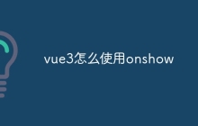 vue3怎么使用onshow