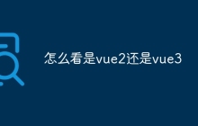 怎么看是vue2还是vue3