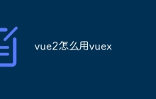 vue2怎么用vuex