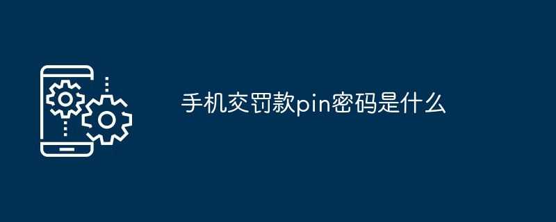 手机交罚款pin密码是什么