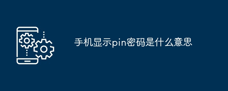 手机显示pin密码是什么意思