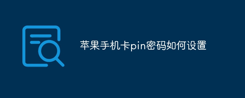 苹果手机卡pin密码如何设置