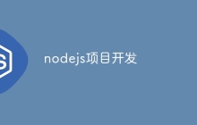 nodejs项目开发