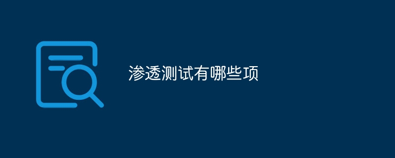 渗透测试有哪些项