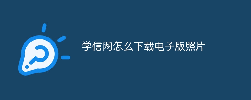学信网怎么下载电子版照片