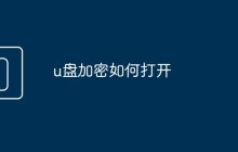 u盘加密如何打开