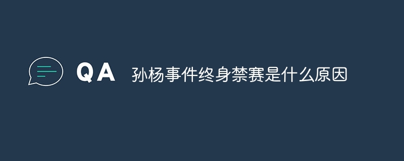 孙杨事件终身禁赛是什么原因
