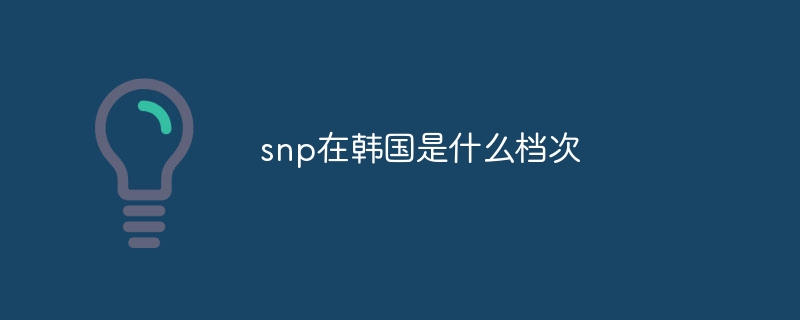 snp在韩国是什么档次