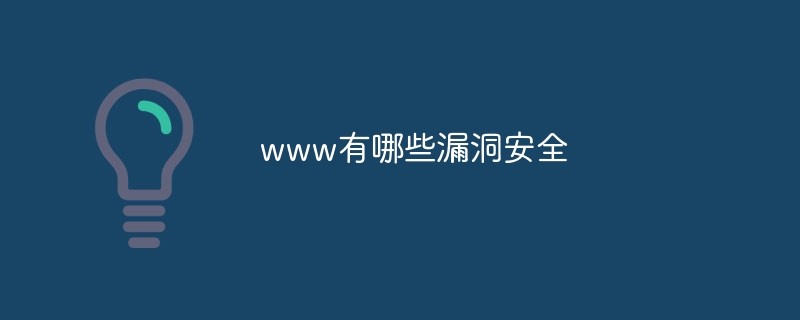 www有哪些漏洞安全