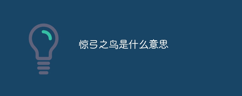 惊弓之鸟是什么意思