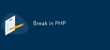 Break in PHP