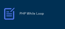 PHP While Loop