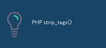 PHP strip_tags()