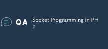 Pengaturcaraan Soket dalam PHP