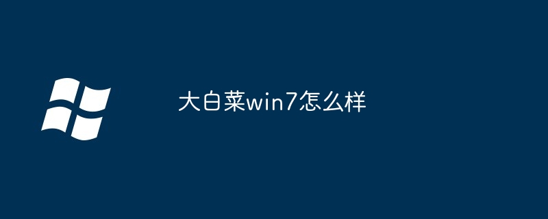 大白菜win7怎么样